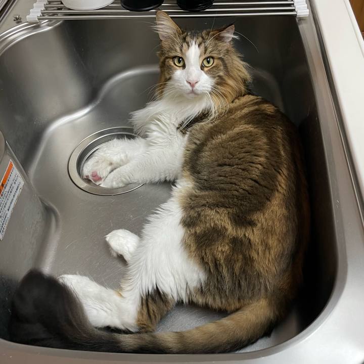 2fb9cb61 6494 4112 8648 53d700feb588 1691263404706