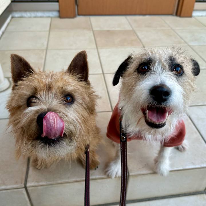 2fb9e474 96ee 415c 827d 170f254c317a 1742505966747