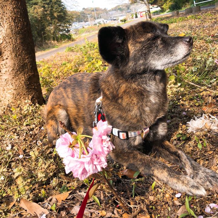 2fb9eb40 1d7f 42a6 ba4d 4709283519be 1586490563318