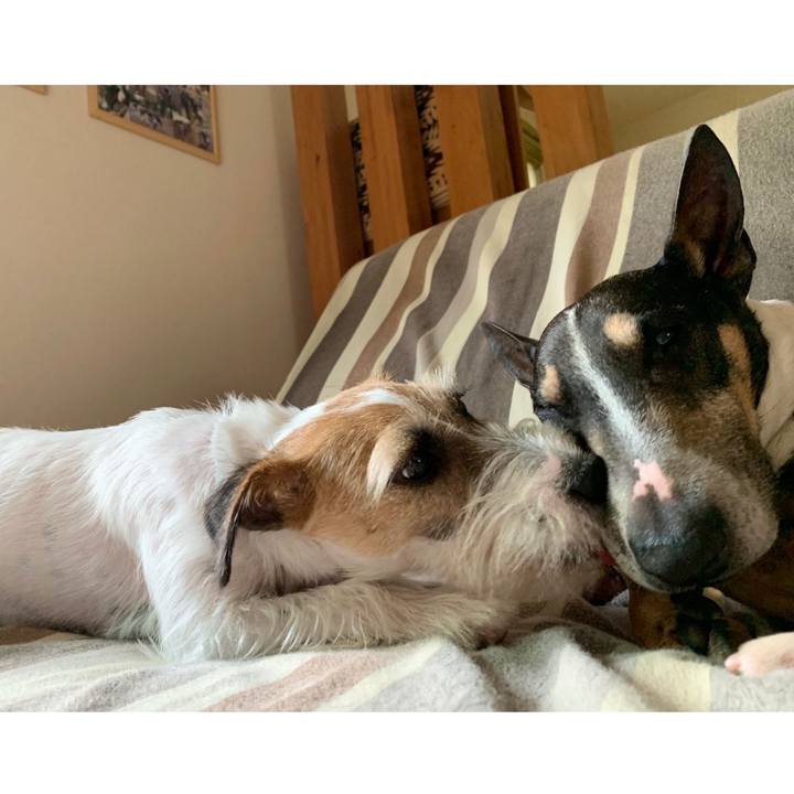 2fba1e66 73ad 43d6 b10a 8d8c0a5dc724 1592546775302