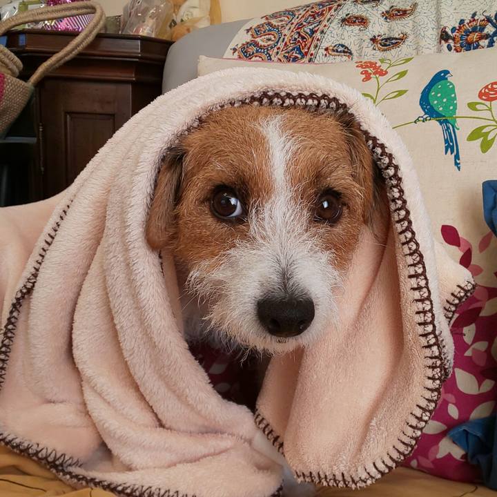 2fba3eca 44a3 4c79 adeb 90095e3dd1ff 1573510934905