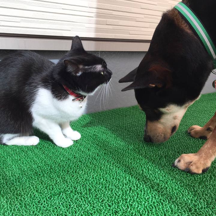 2fba4f81 1094 41e5 974b 83cef590bc81 1519962259882