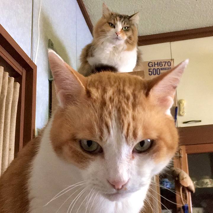 2fba55cb dad0 4980 a907 2204d61b8694 1587961739578