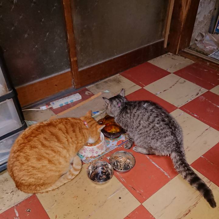 2fba55fb c749 451a 8eb3 8ce6c36a00bc 1578340404169