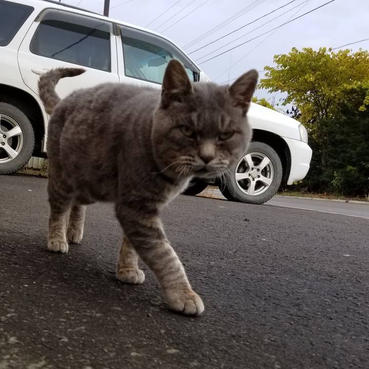 2fba901f 636a 48f4 83a6 cda3d5441397 1540909059980