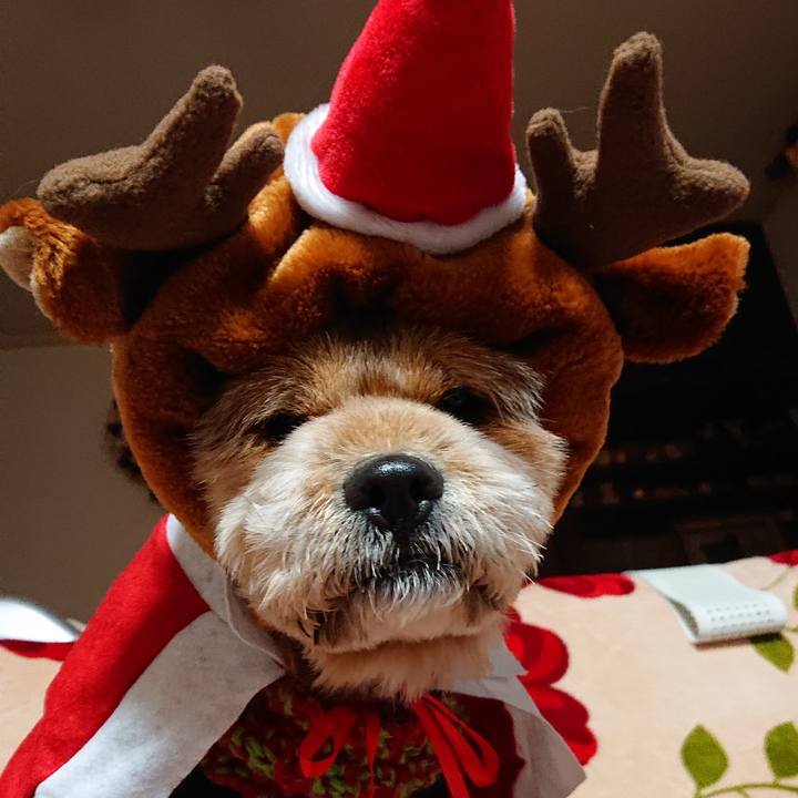 2fba903b ab01 4b61 804f 2f7ca61ede05 1545648553527