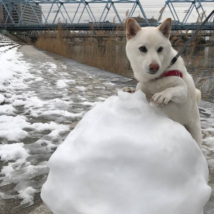 2fbad801 39a4 4eea abd5 ed5ffc3fc181 1517182278471