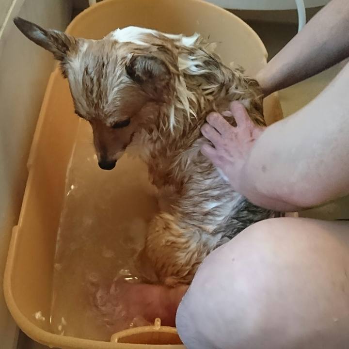 2fbadac4 ea11 4ca1 a30f 5f18ca310fe3 1526708356687