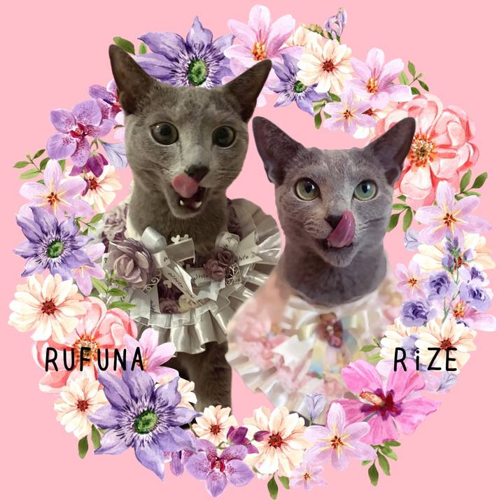 2fbadb4e c10d 419b 92f0 57bdfd2ca306 1684451540647