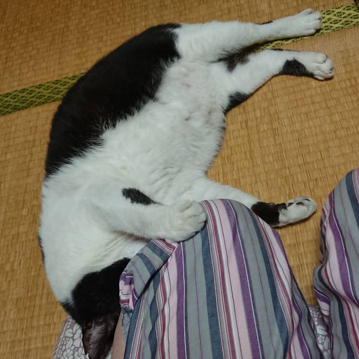 2fbaf3bb 38b2 418e adea fdc21c341bb5 1534772355069