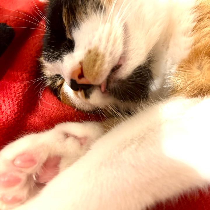 2fbb098b 5e52 4b42 a729 a6c910ed47b3 1769249159698