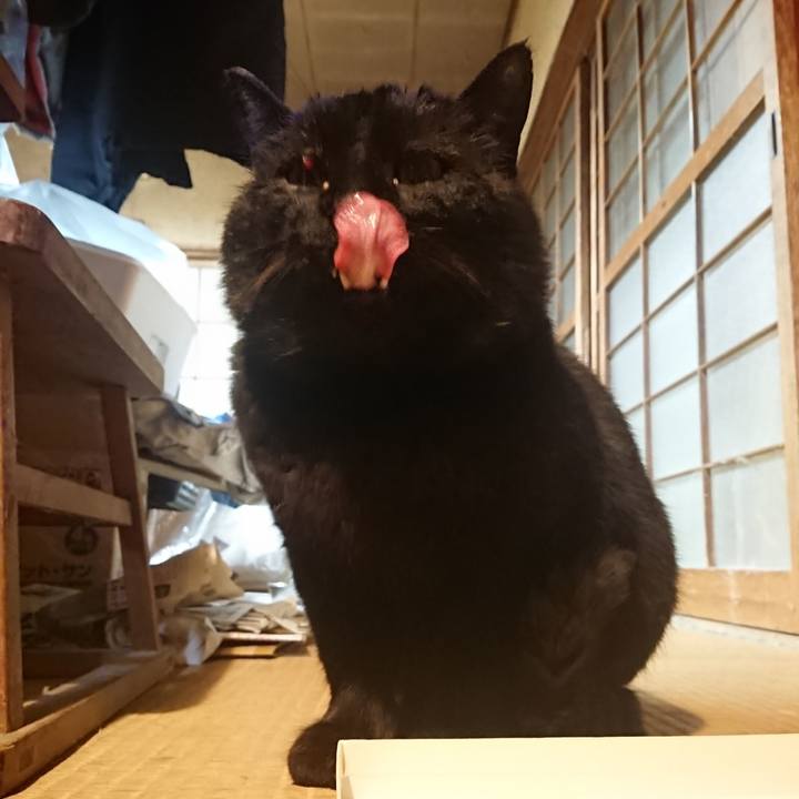 2fbb1f7c 1051 4106 822f 084cca4fb4d8 1615642528353