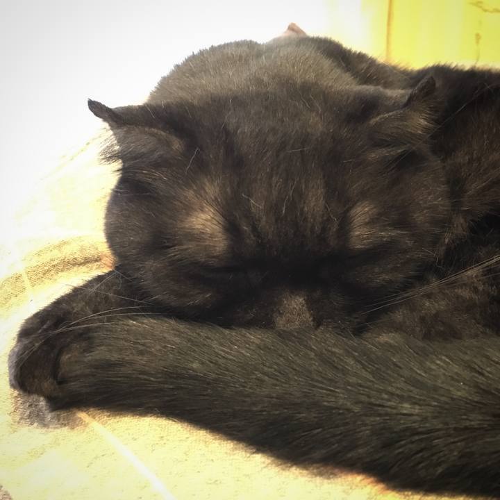 2fbb2785 5156 46d7 90de 68ea9b9c3401 1539504115780