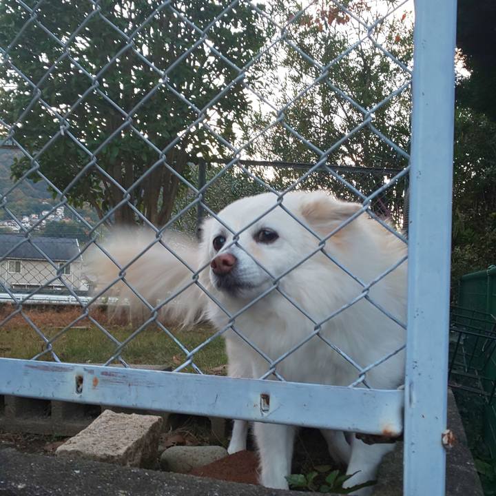 2fbb32e7 2362 456f a16e 8969b2e35647 1733059790479