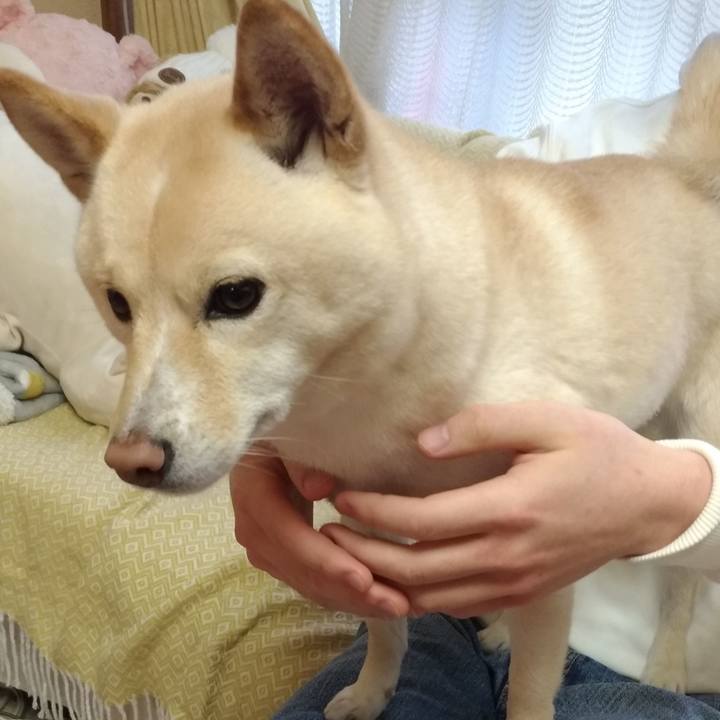 2fbb4142 b834 4c22 bab6 e9ffd618c01a 1576798763312