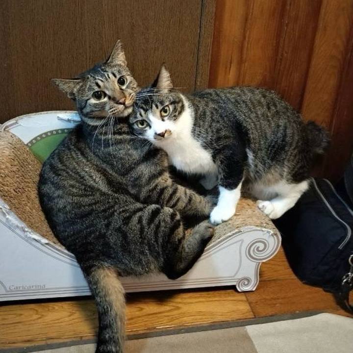 2fbb6128 b2e7 461b a962 3b1d451187b1 1723448449697