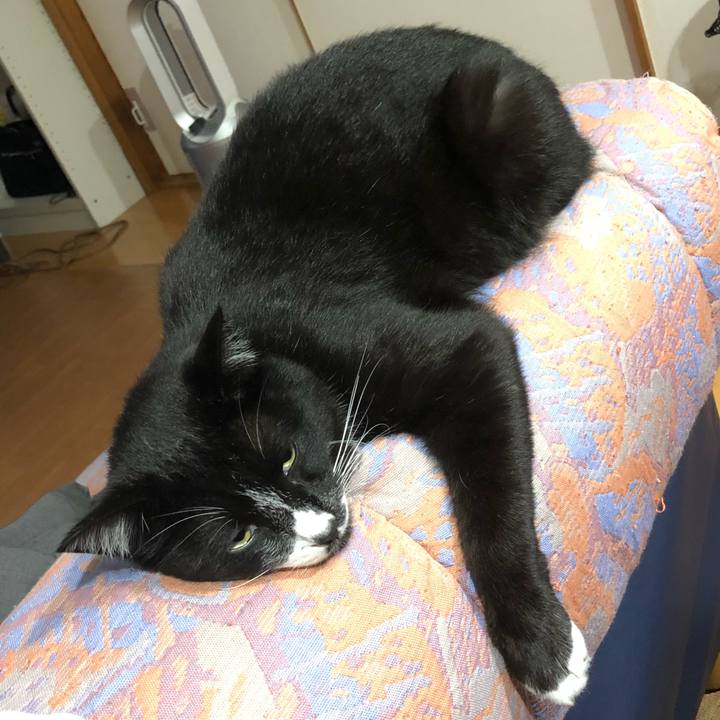 2fbb69c4 8e80 464a a187 c1c6dd210cd9 1523418205671