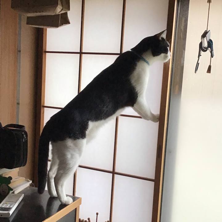 2fbb7bed c079 439c 9e99 f2d26db90e66 1762053760478