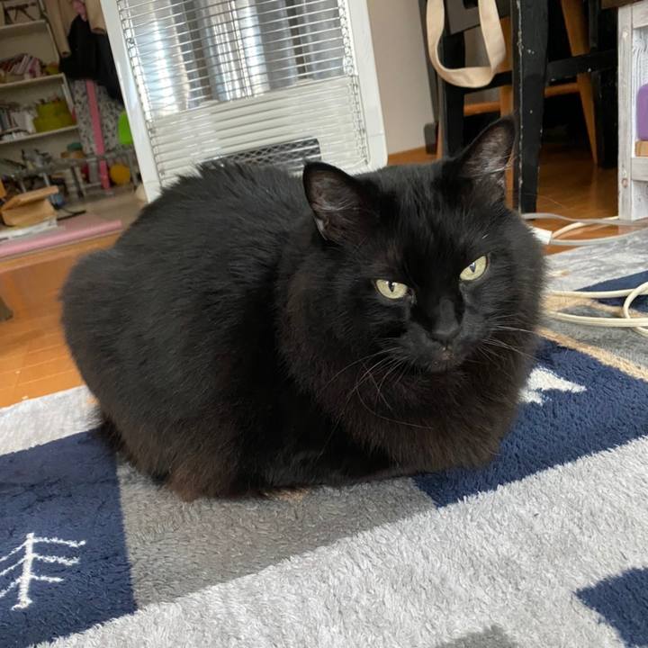 2fbbd21f 6d17 4749 a6ca cec060cc1264 1604472140947