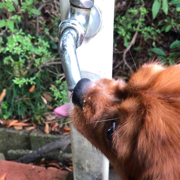 2fbc06b6 48e4 42a8 ab90 249360463e5d 1595741146261