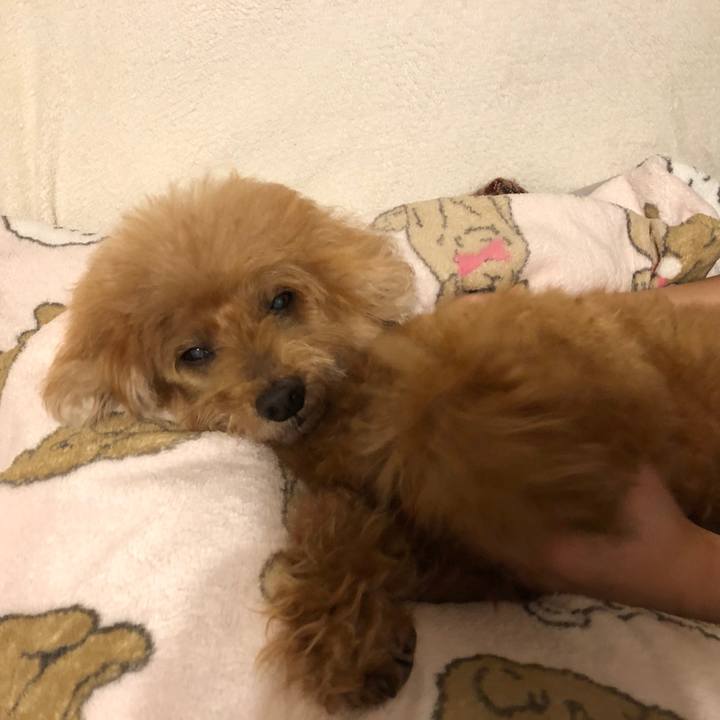 2fbc2901 bf42 4701 a23e 1322cc24c779 1576276689481