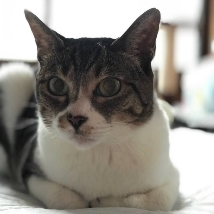 2fbc584e 3427 45fd b31d cb762ea6cb2a 1537490112466