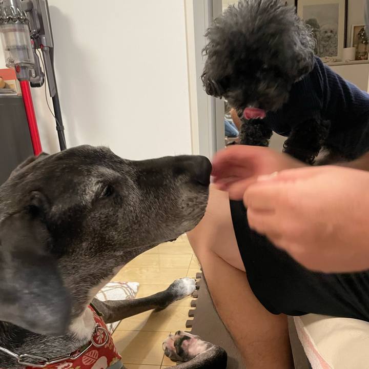 2fbc5de4 d613 4caf a56f a1ed3c6dd4da 1665621073145