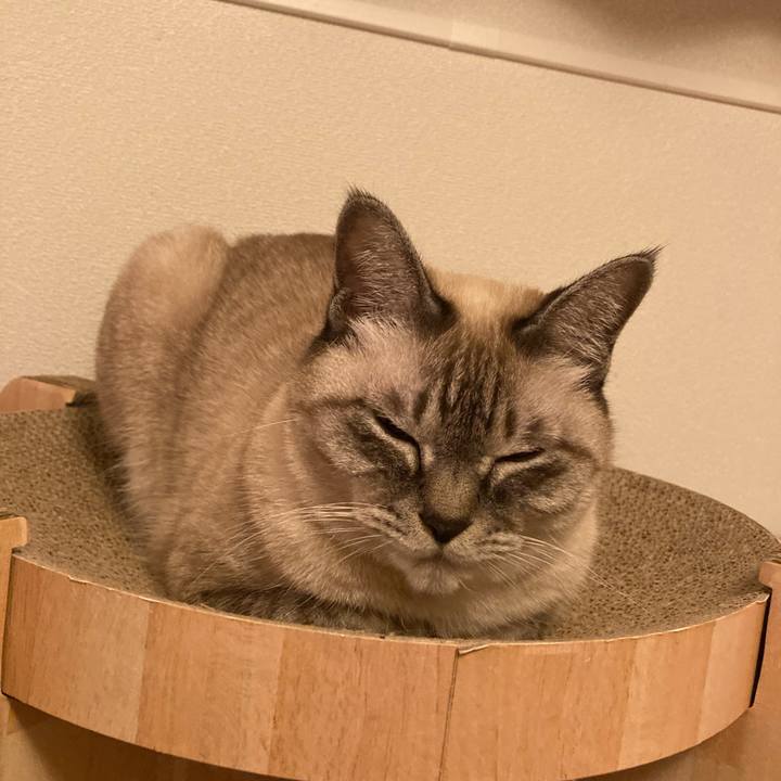 2fbc75db bcde 4df9 a302 80ef63b1392c 1763384179449