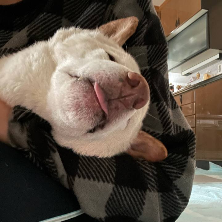 2fbc9f17 18e9 4f5f 8c01 dfa398852d67 1636807694131