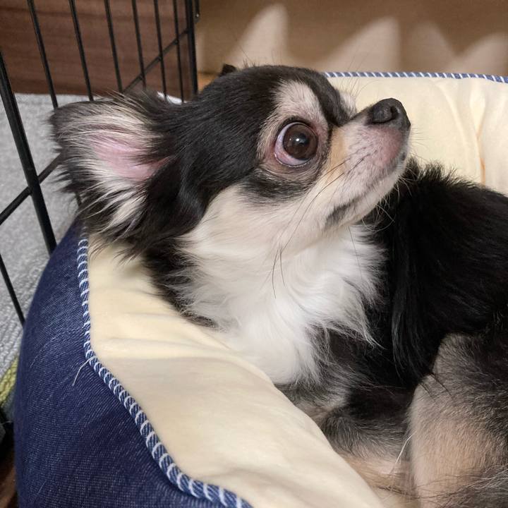 2fbca2a1 44c4 4165 bed9 6ae3b27ba5fe 1658670001721