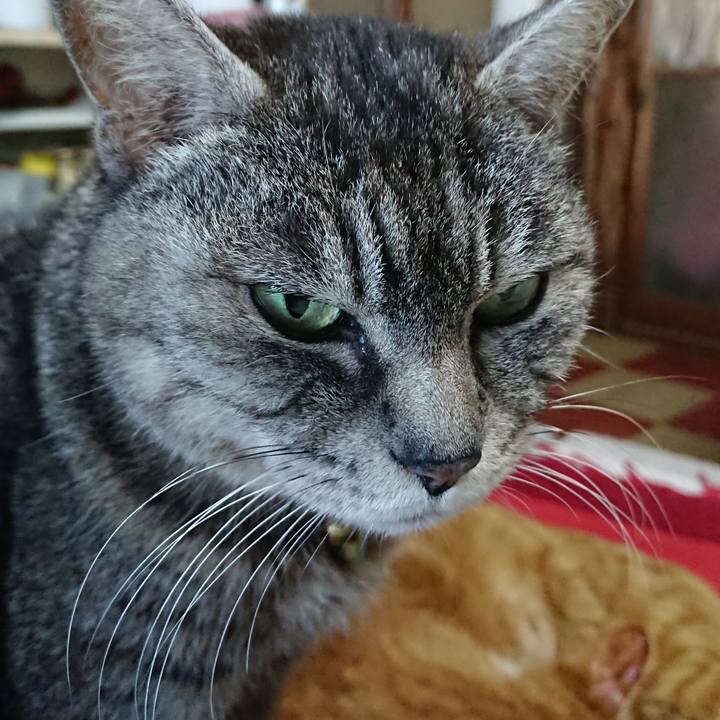 2fbcaed8 cac5 4d56 b5c0 eb3a71e755a4 1550987522117