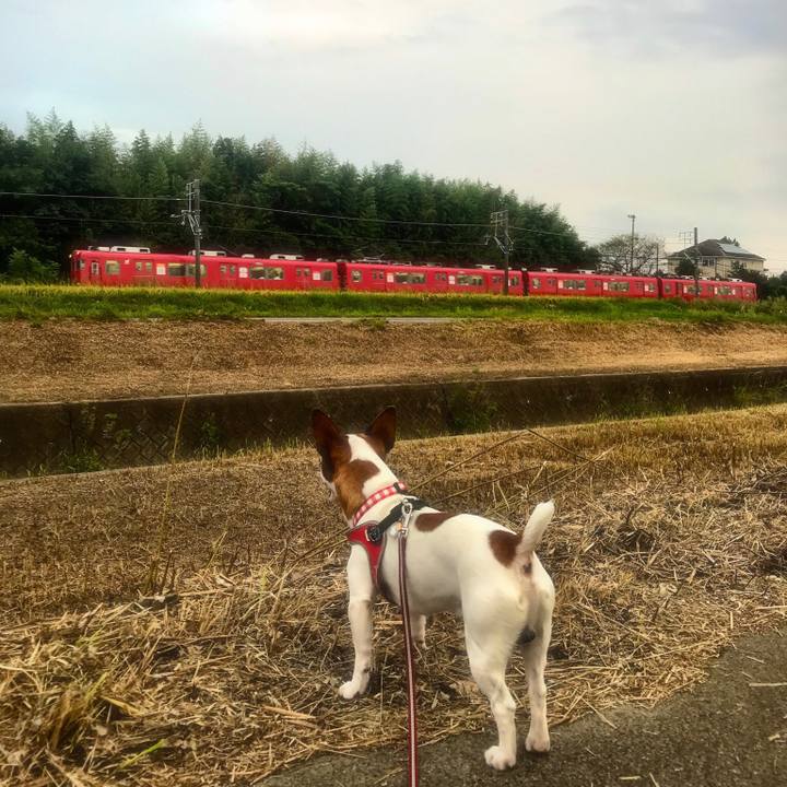 2fbcdde6 f78a 4e9b 8538 52d67d9171a7 1535452905532