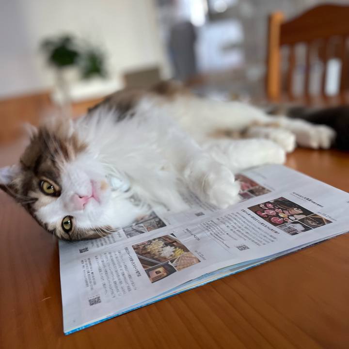 2fbd186d 6aa0 4cec b4a6 5a20acaefd4f 1642827047530