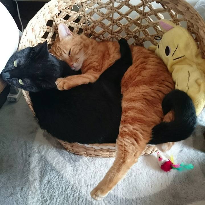 2fbd281d 0d2b 485d 810c 05a4b1616b29 1525329341158