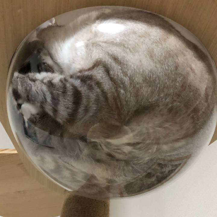 2fbd44d4 a9d6 4daf aeca 1975d79f7a3c 1621257774119