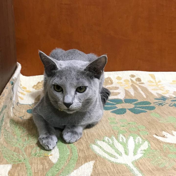 2fbd44f8 1887 41a3 8401 f5dc8d4010c5 1508992752665