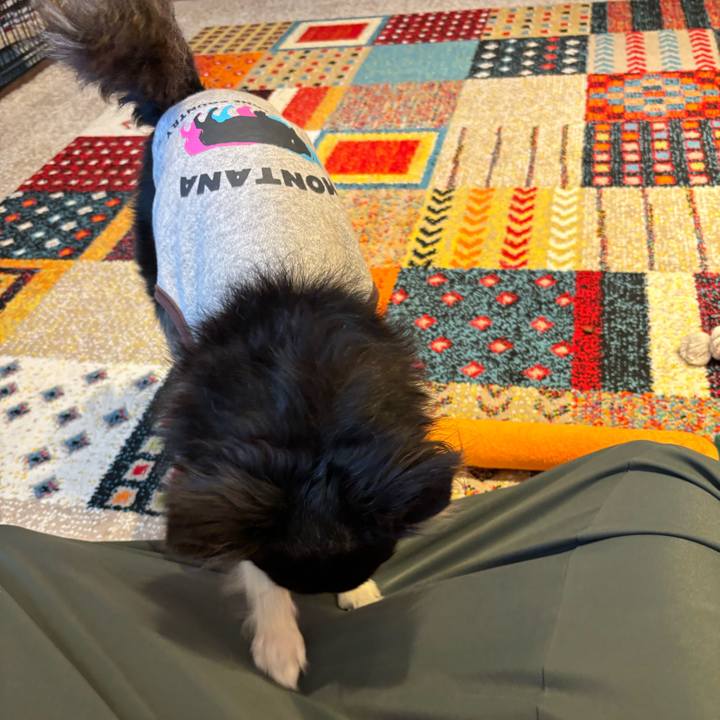 2fbd62df 413b 4102 8745 8911c4d79bc2 1729439811179