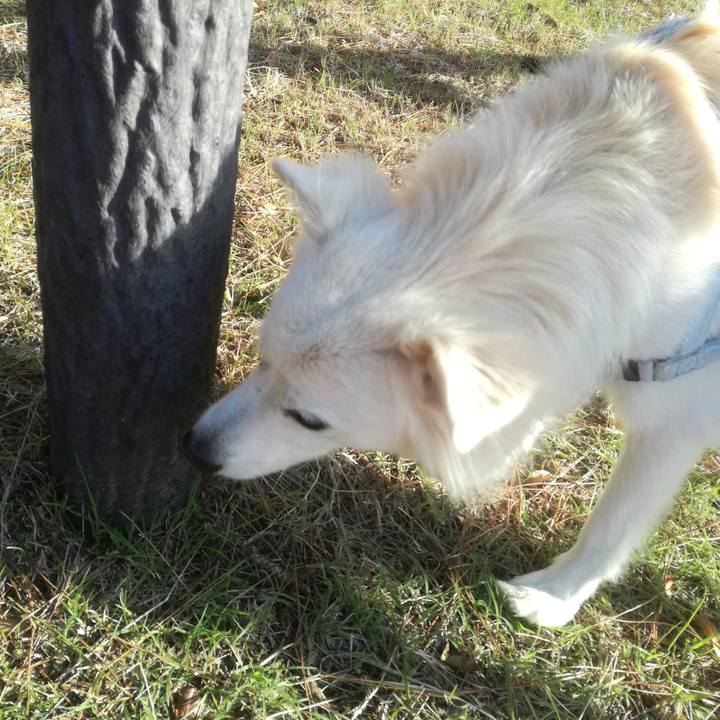 2fbd64ef 800d 405d 893b 0ec4d98df4c6 1509410911714