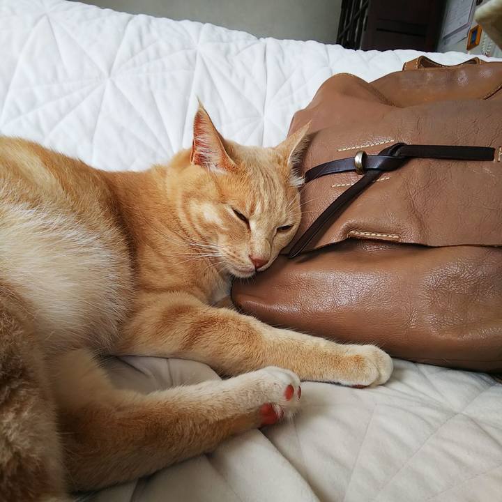 2fbd7ae4 8277 452c 8fa9 219cd2da74ad 1596148075497