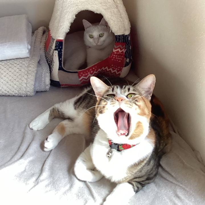 2fbda1d2 594f 49e3 af91 5b3b08c3b863 1664085276561