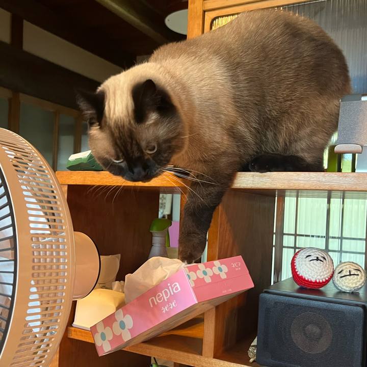 2fbda9db d869 458e a52f f7bba51f4ac7 1662769822627