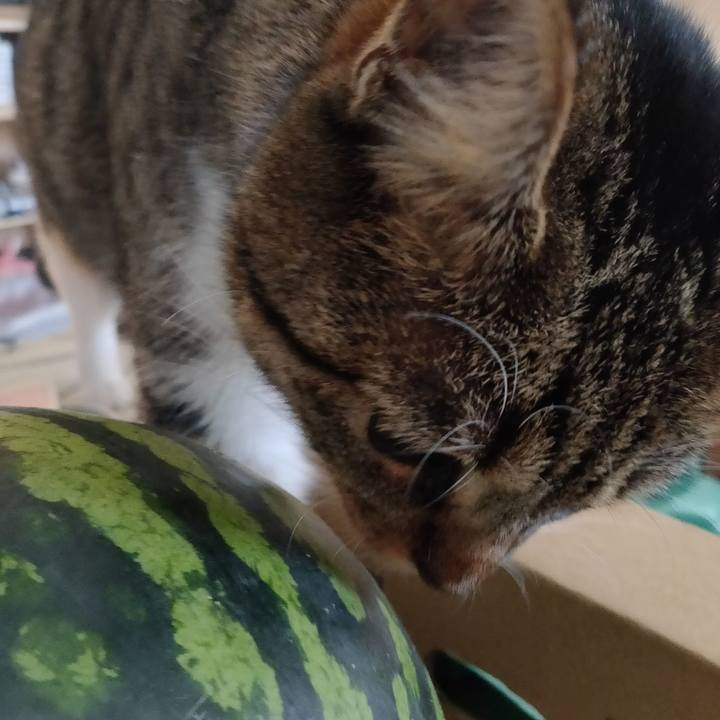 2fbdb098 1dad 45c0 bdd8 0f7ea987c55f 1659843986344