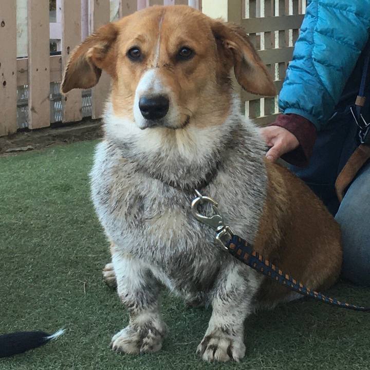 2fbdc1ba da33 41b9 a14b aaeec8076c64 1617152047409