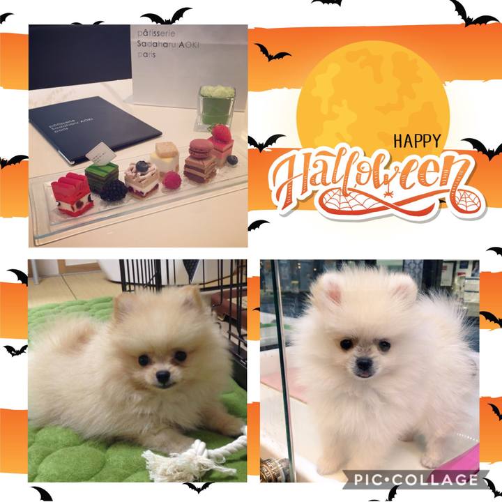 2fbde29f e544 40d3 8cc3 5a32ac0286b9 1570793208949