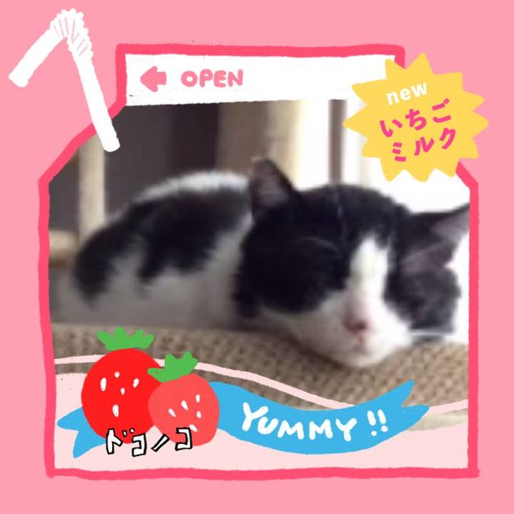 2fbe4123 9458 4e44 9cb7 3309e2cf9c86 1711025076296