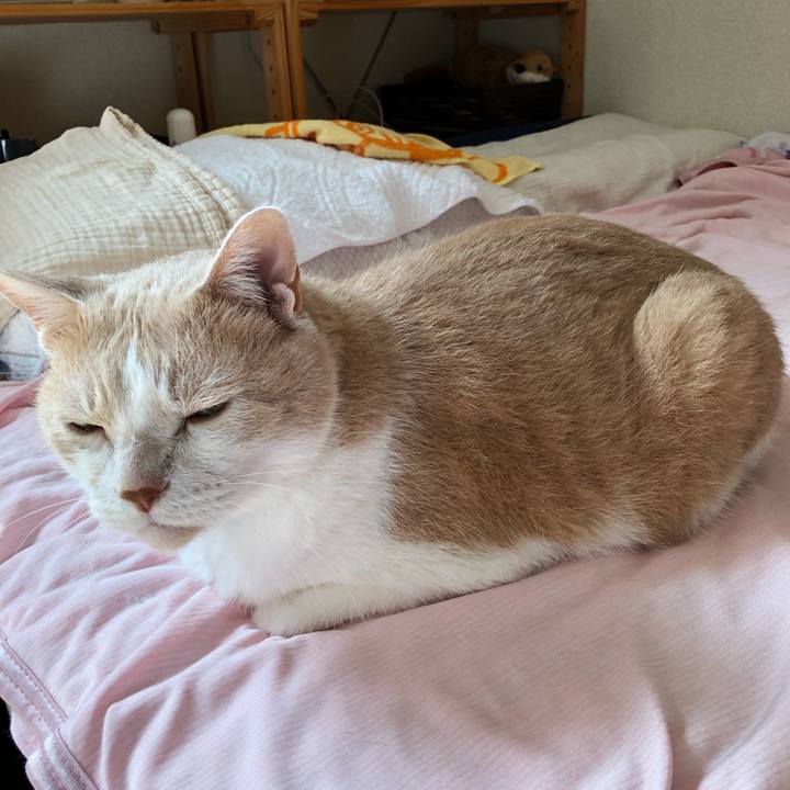 2fbe6dd9 3a5c 4fd8 a7a0 1d6b623c36e8 1563871921225