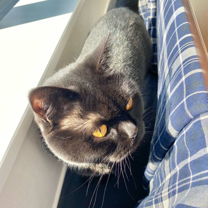 2fbe8267 cbee 4e1e 8ebc 7aaada71d877 1614493995560