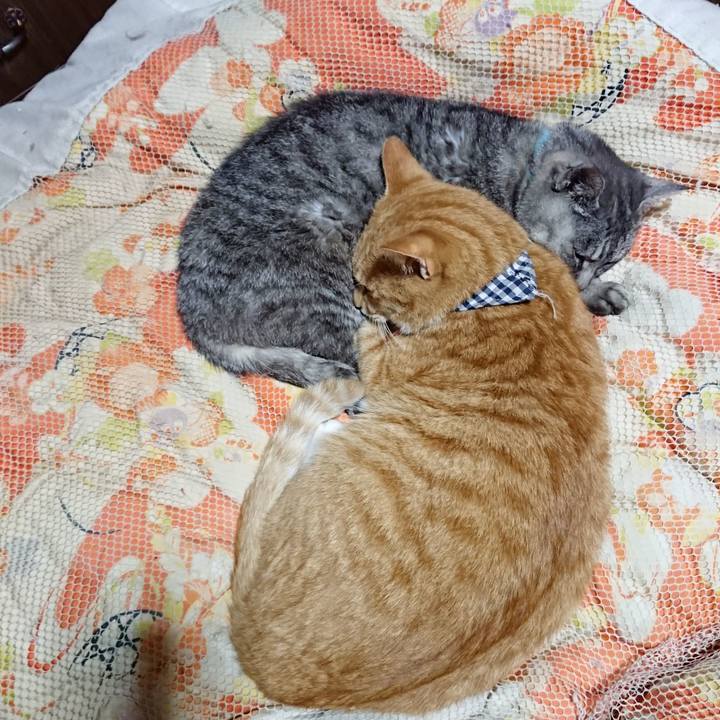 2fbe8f28 b3f7 429a b0b0 bf11c6b5ac2c 1571660519778