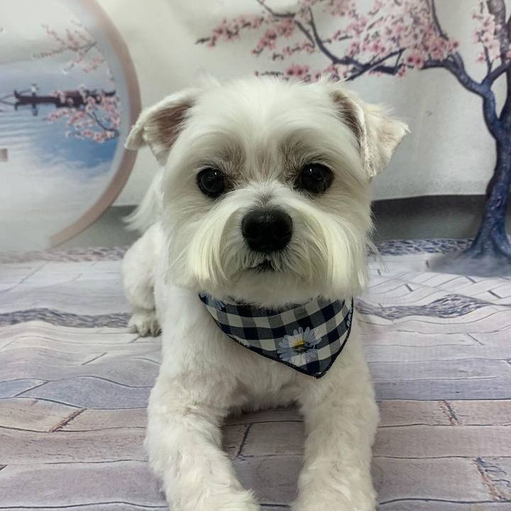 2fbf4034 d96d 452d 978e 4d41b96afc7f 1616407284335