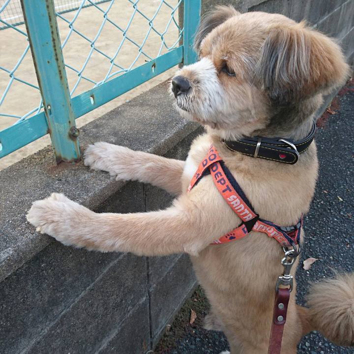 2fbfb2fe f145 4652 9a83 7ea8603cb96a 1526946093738